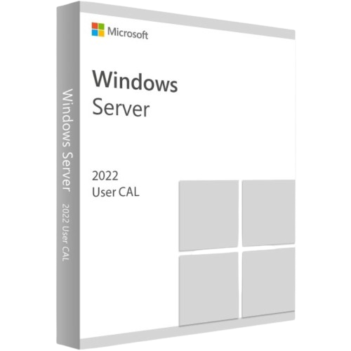 Windows Server Standard 2022 User CAL