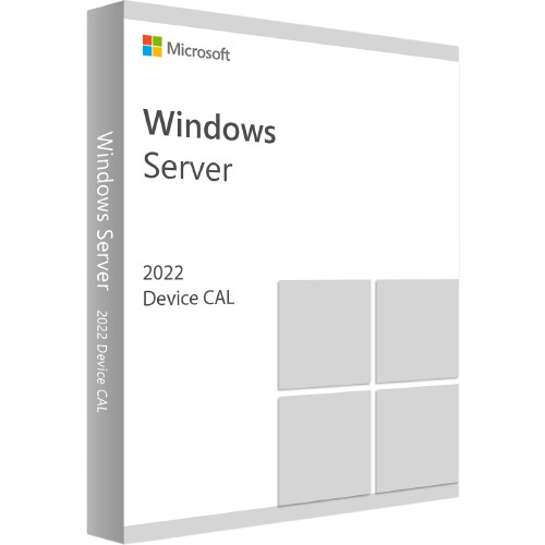 Windows Server Standard 2022 Device CAL