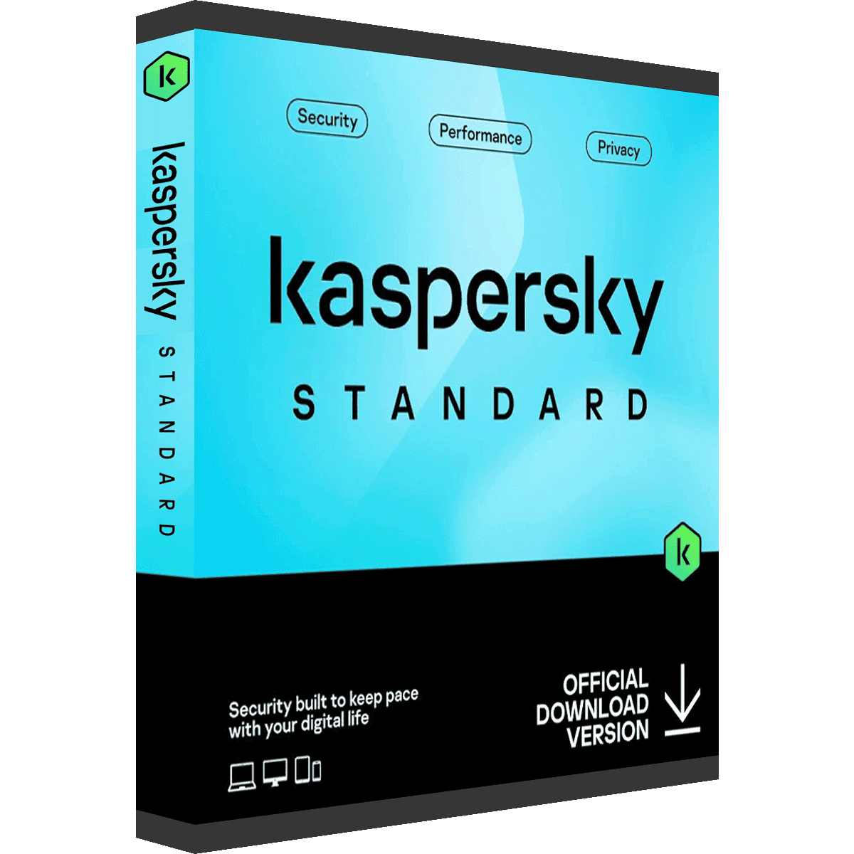 Kaspersky Standard 2025