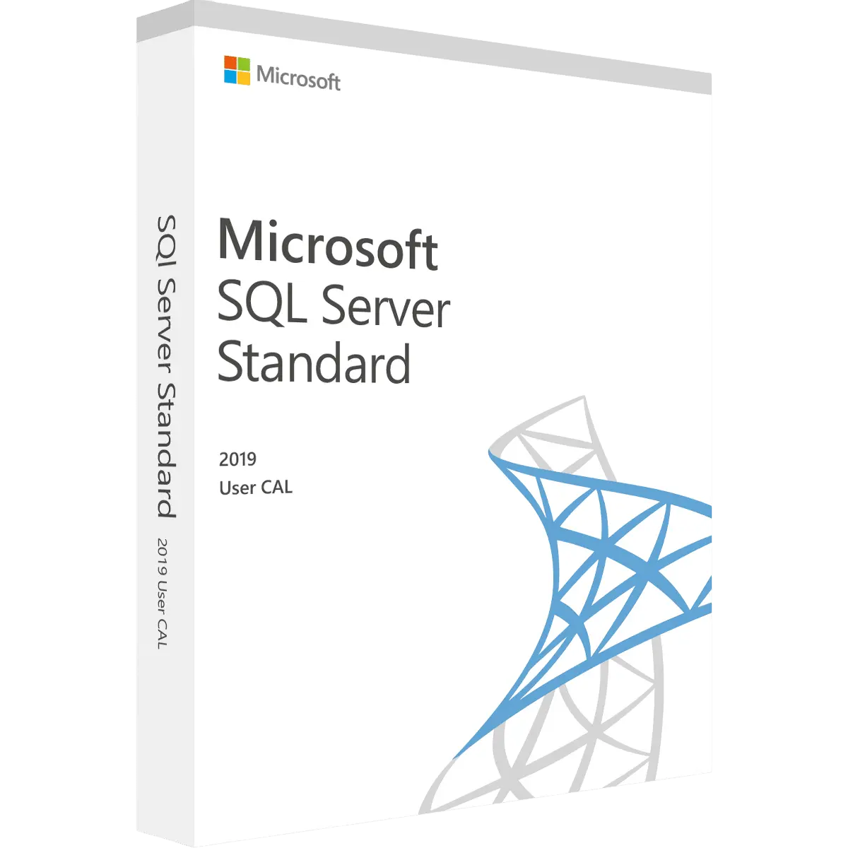 Packung Microsoft SQL Server Standard 2019 User CAL