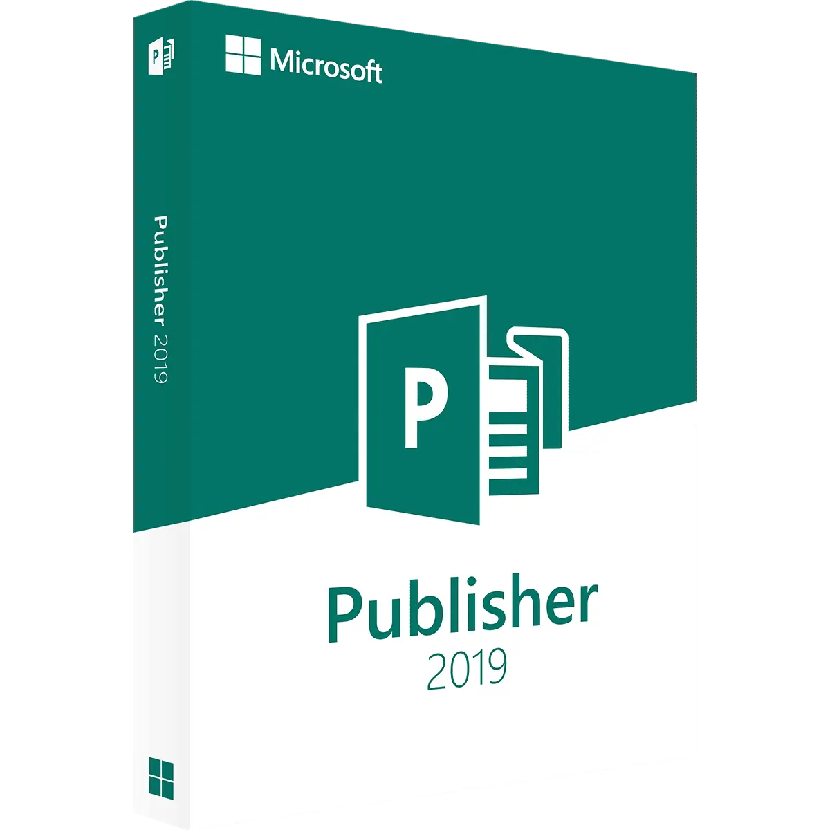 Box von Microsoft Publisher 2019 Software in grün weiß